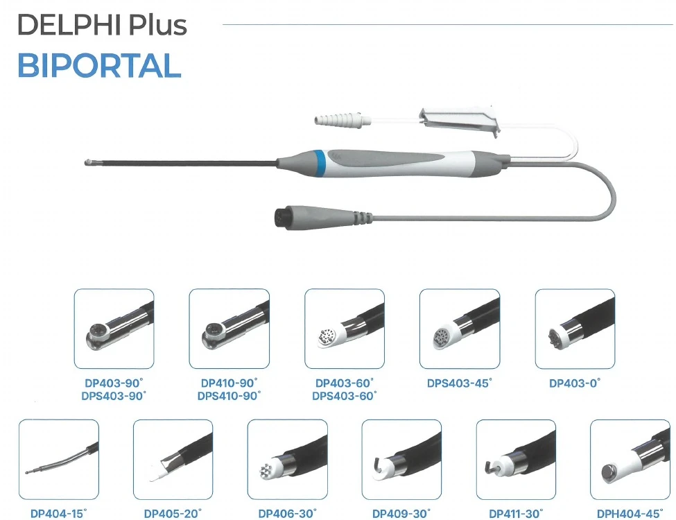 DELPHI Plus BIPORTAL bileşenleri